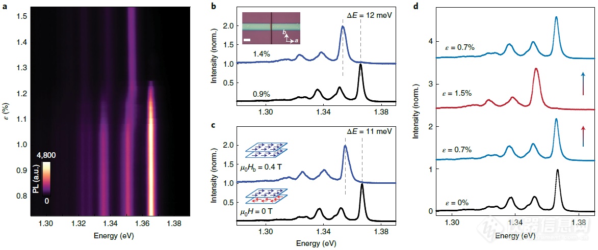 乐鱼app：Nat Nanotechnol：范德华磁体中应变诱发的可逆磁相变——OptiCool、Montana低温光学筑设大显法术(图4)